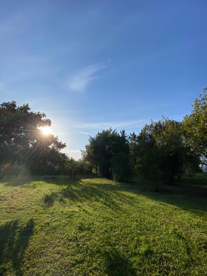 Studio Climatise Dans Un Ancien Domaine Viticole 蒙彼利埃 外观 照片