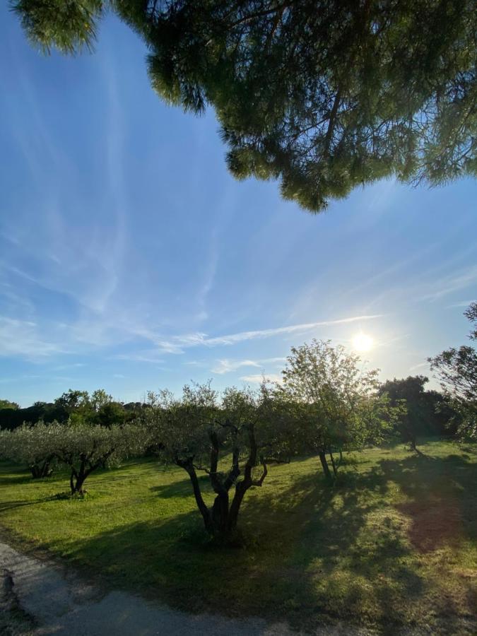 Studio Climatise Dans Un Ancien Domaine Viticole 蒙彼利埃 外观 照片